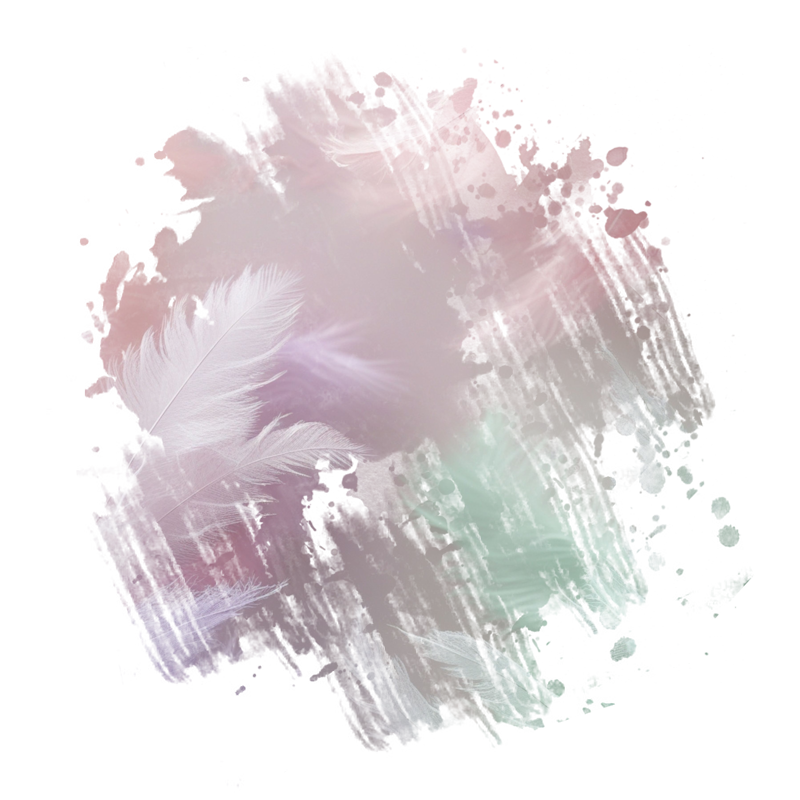 2025-DesignsbyForteMasked800x800-081