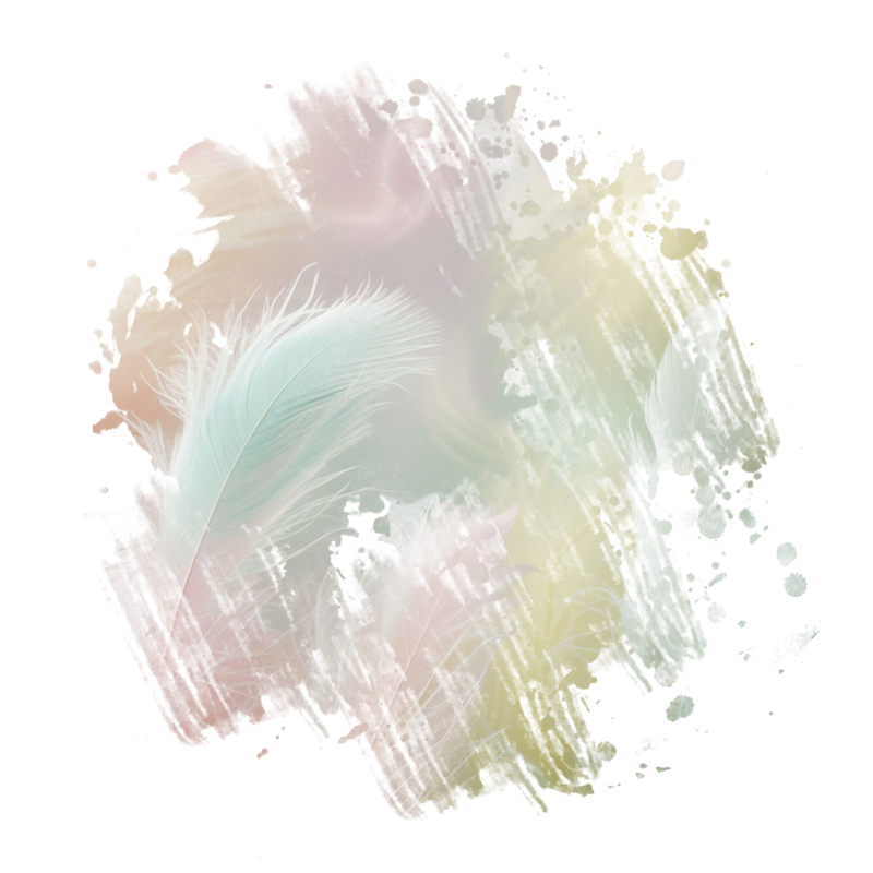 2025-DesignsbyForteMasked800x800-085