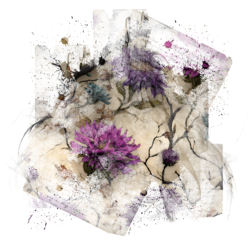 2026-DesignsbyForteGothic-070