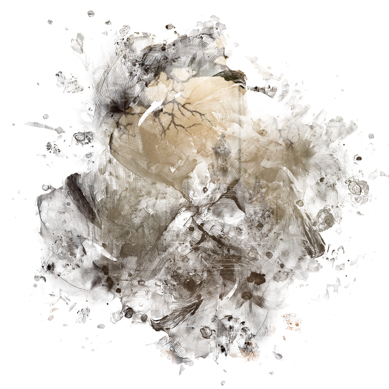 designsbyforteHalloween2026-213