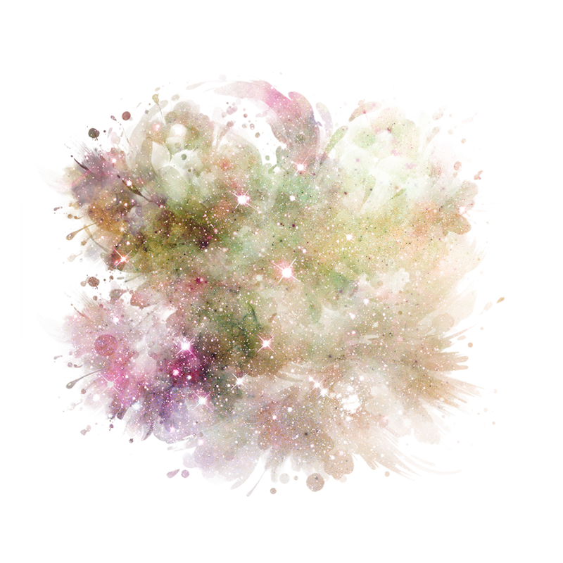 2025-DesignsbyForteMasked800x800-182