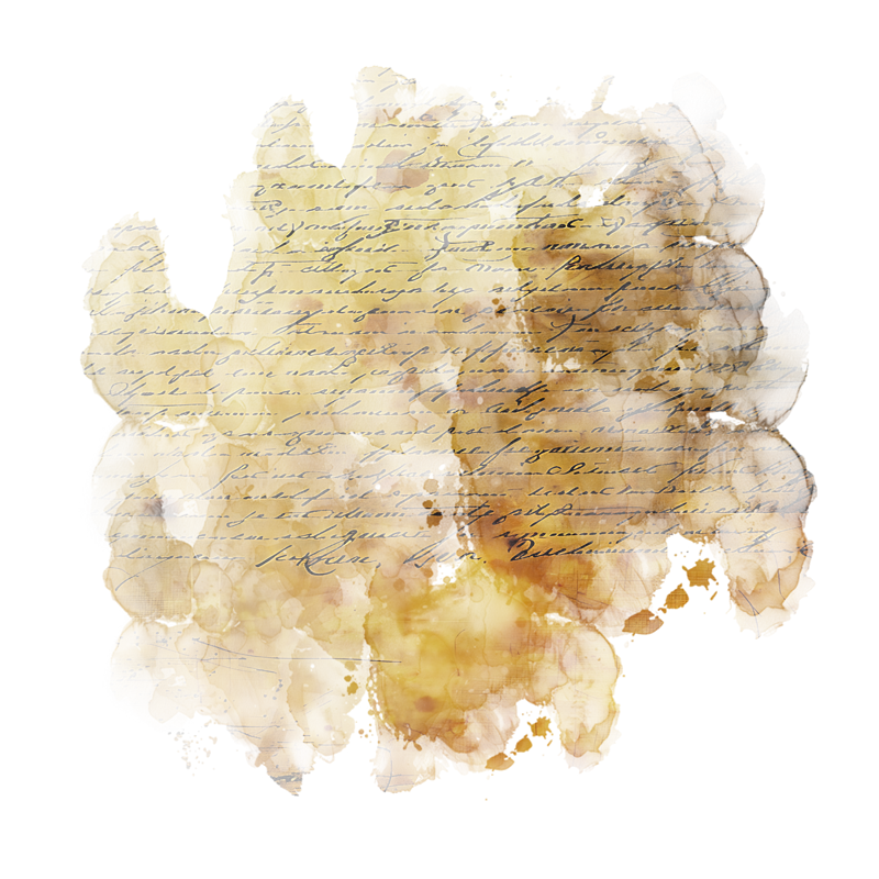2025-DesignsbyForteMasked800x800-199