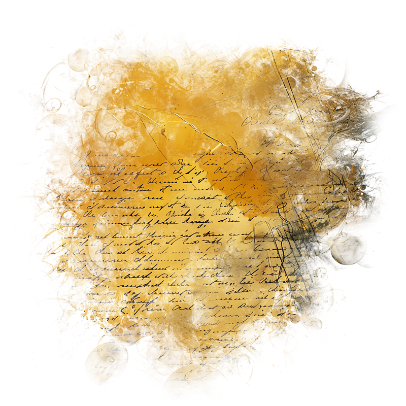 2025-DesignsbyForteMasked800x800-201