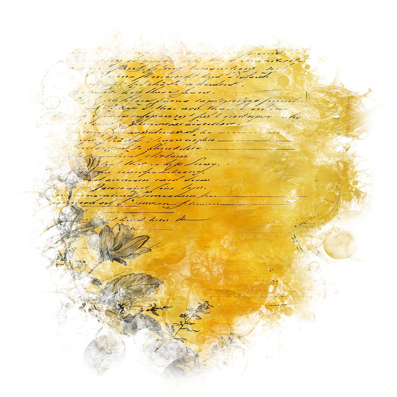 2025-DesignsbyForteMasked800x800-203