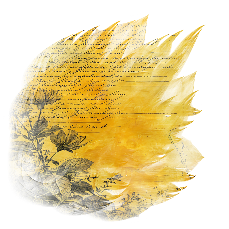 2025-DesignsbyForteMasked800x800-208