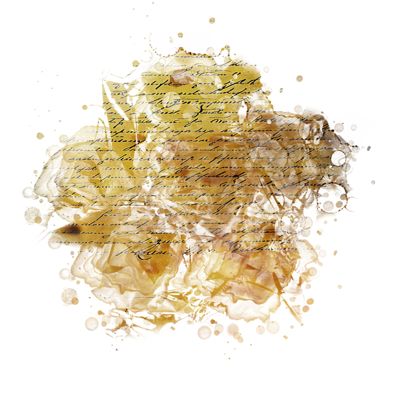 2025-DesignsbyForteMasked800x800-212