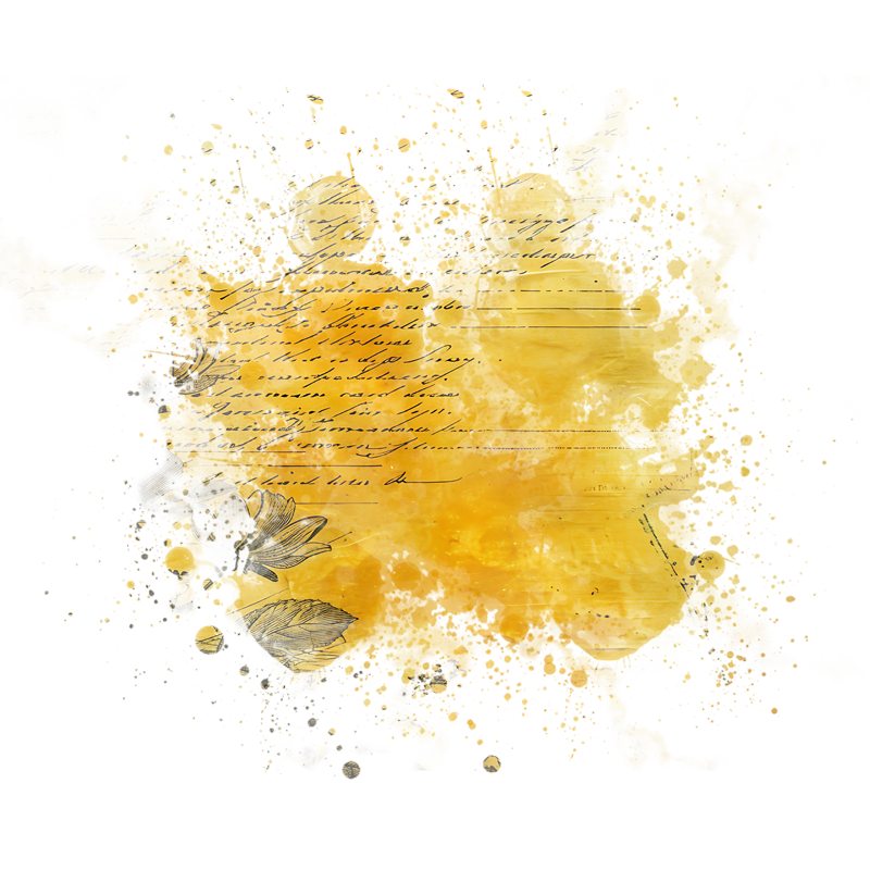 2025-DesignsbyForteMasked800x800-218