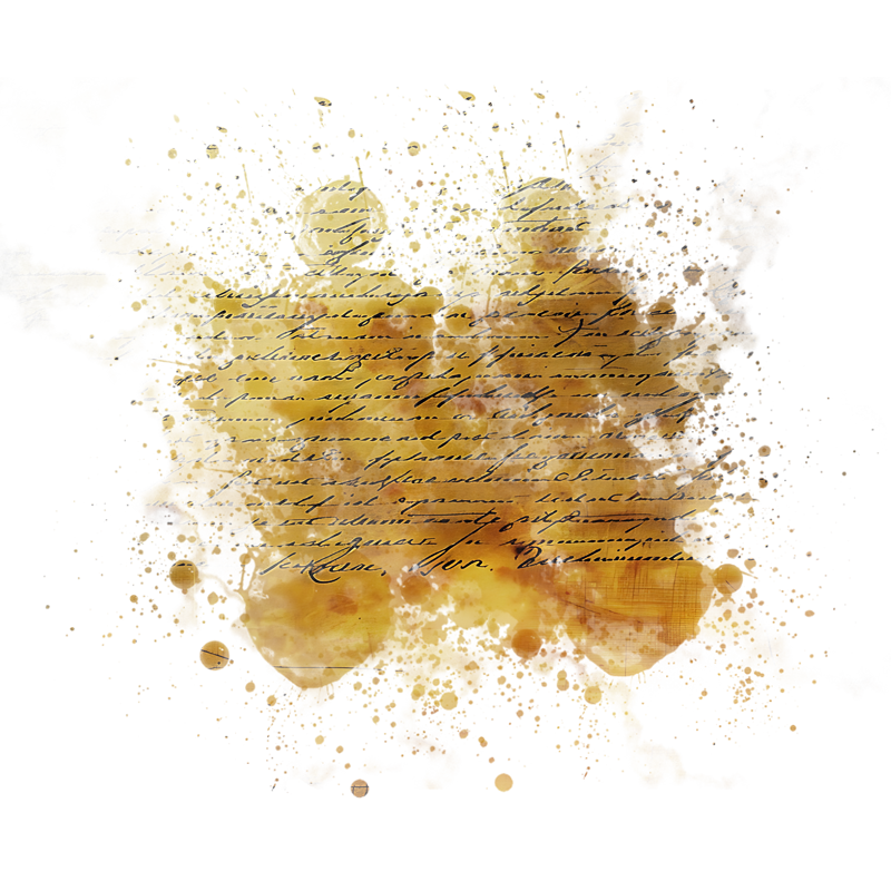 2025-DesignsbyForteMasked800x800-219
