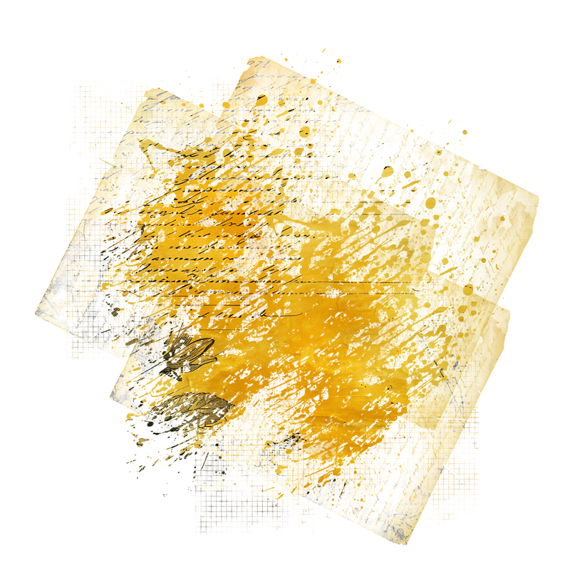 2025-DesignsbyForteMasked800x800-228