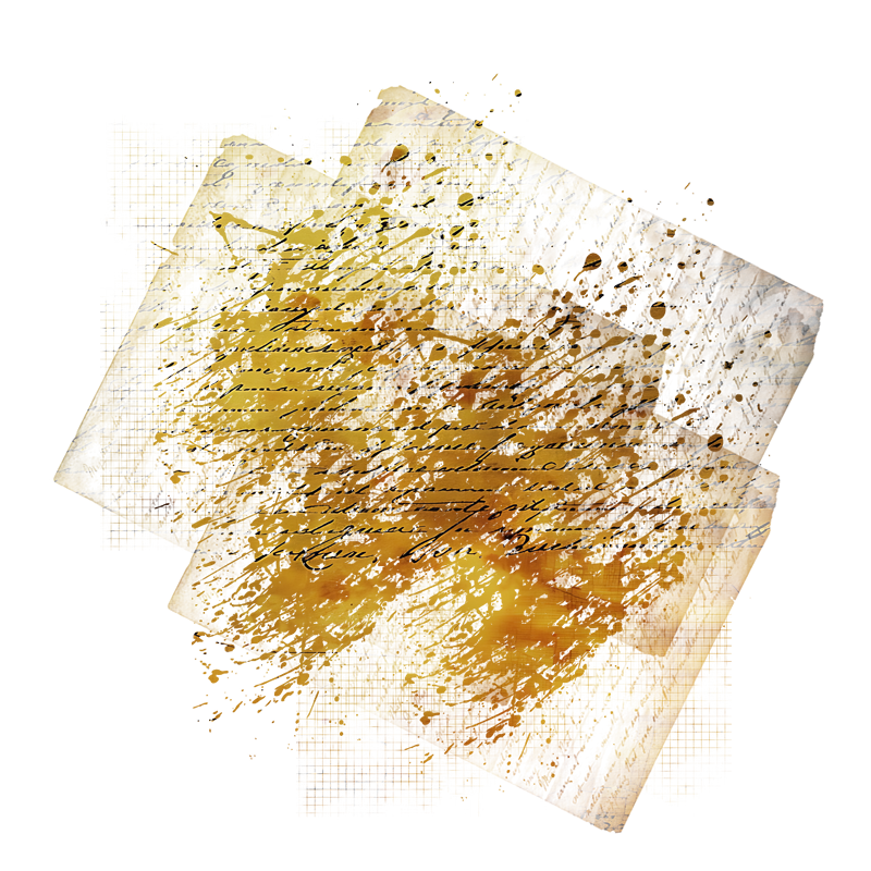 2025-DesignsbyForteMasked800x800-229