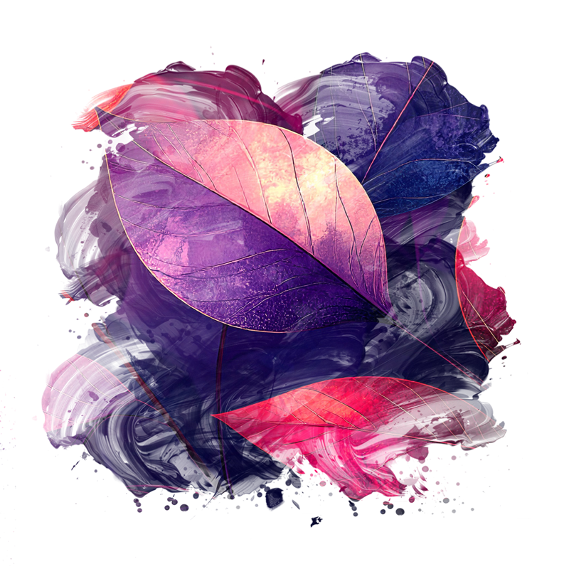 2025-DesignsbyForteMasked800x800-234
