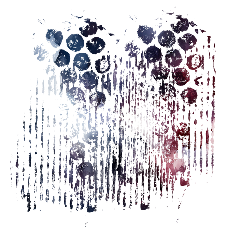 2025-DesignsbyForteMasked800x800-258