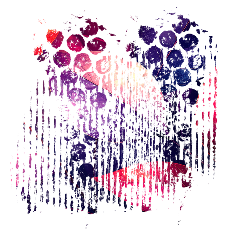 2025-DesignsbyForteMasked800x800-259