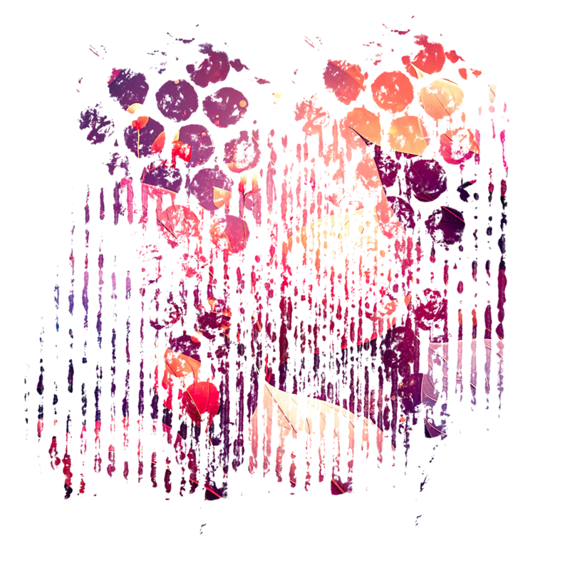 2025-DesignsbyForteMasked800x800-260
