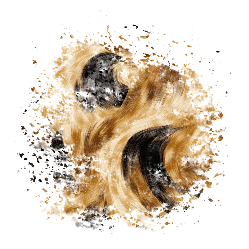 2025-DesignsbyForteMasked800x800-343