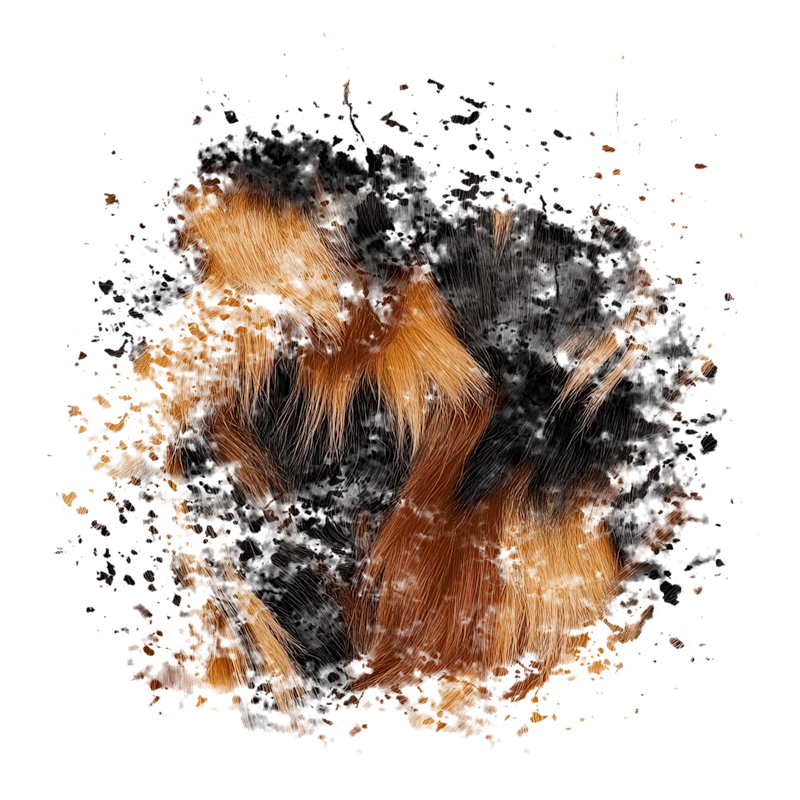 2025-DesignsbyForteMasked800x800-344