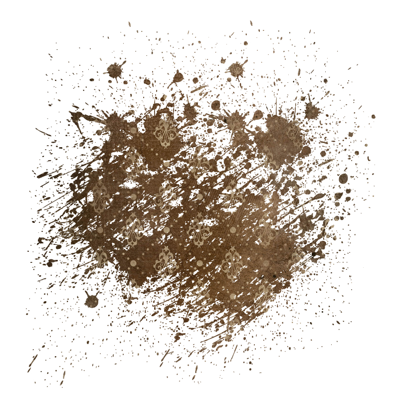 2025-DesignsbyForteMasked800x800-406
