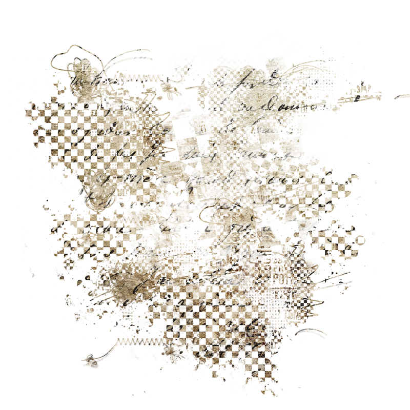 2025-DesignsbyForteMasked800x800-408