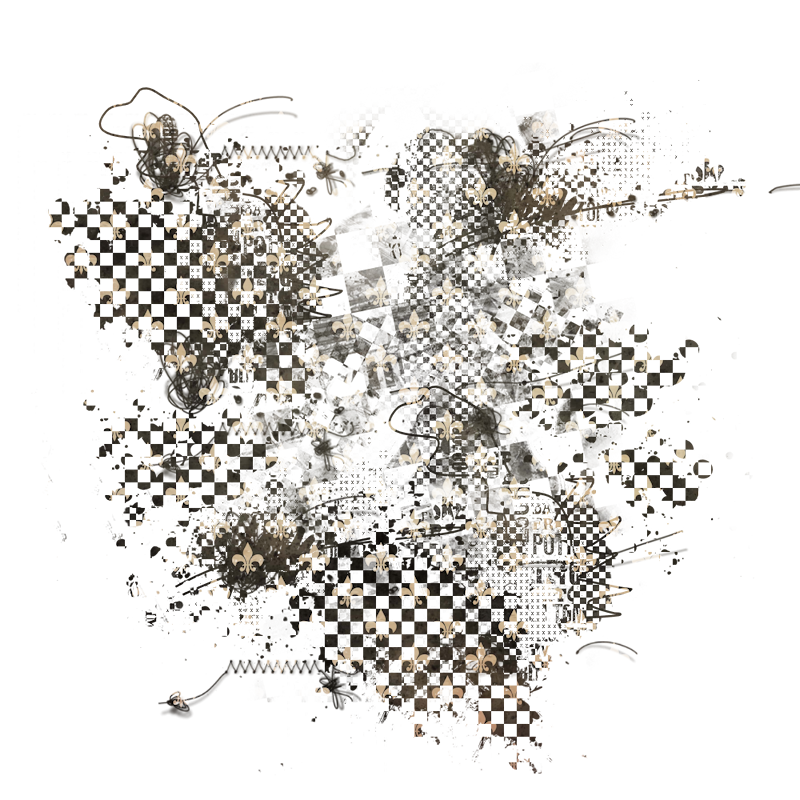 2025-DesignsbyForteMasked800x800-409