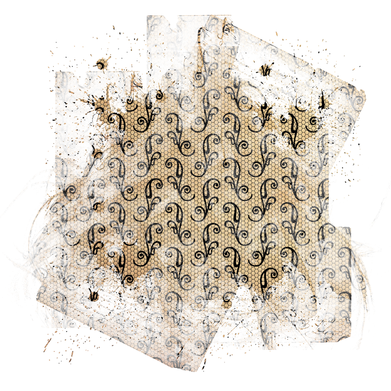 2025-DesignsbyForteMasked800x800-412