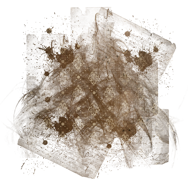 2025-DesignsbyForteMasked800x800-413