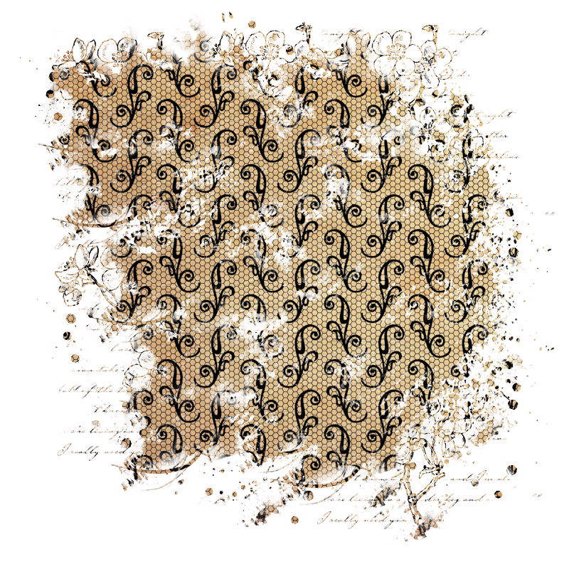 2025-DesignsbyForteMasked800x800-422