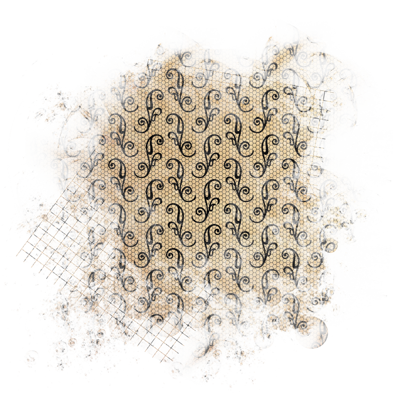 2025-DesignsbyForteMasked800x800-432