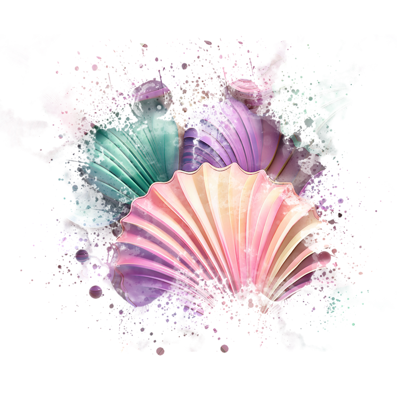 2025-DesignsbyForteMasked800x800-445