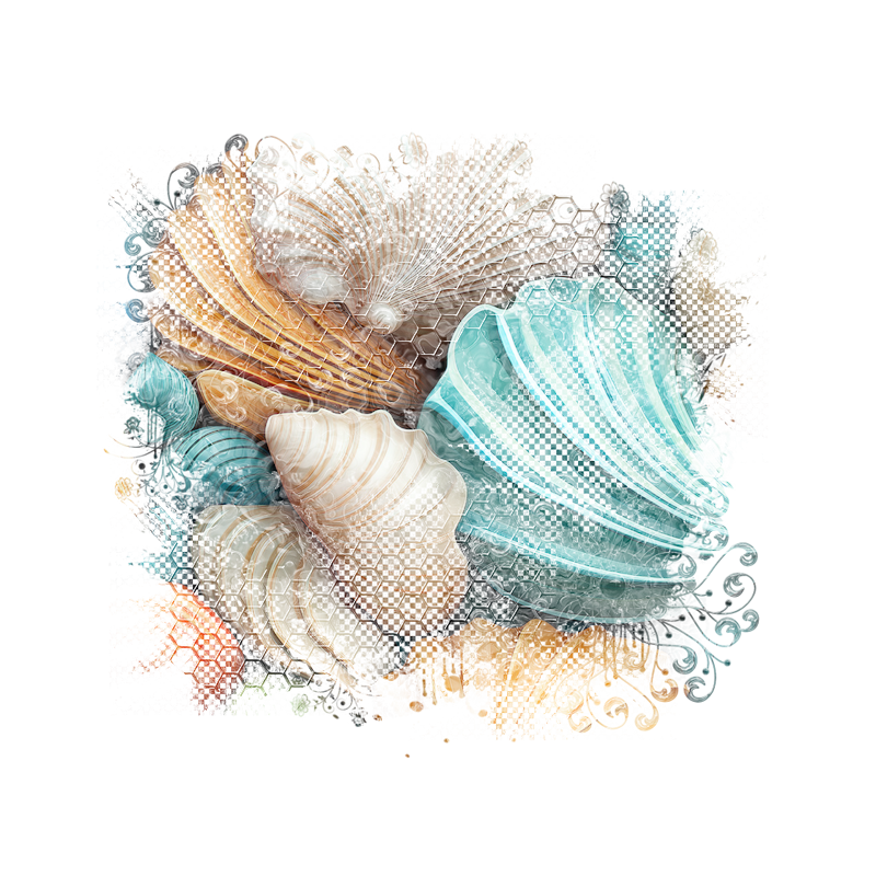 2025-DesignsbyForteMasked800x800-458