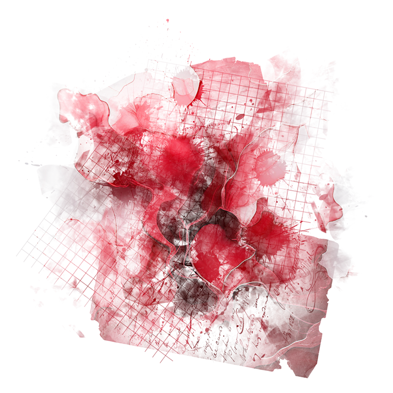 2025-DesignsbyForteMasked800x800-544