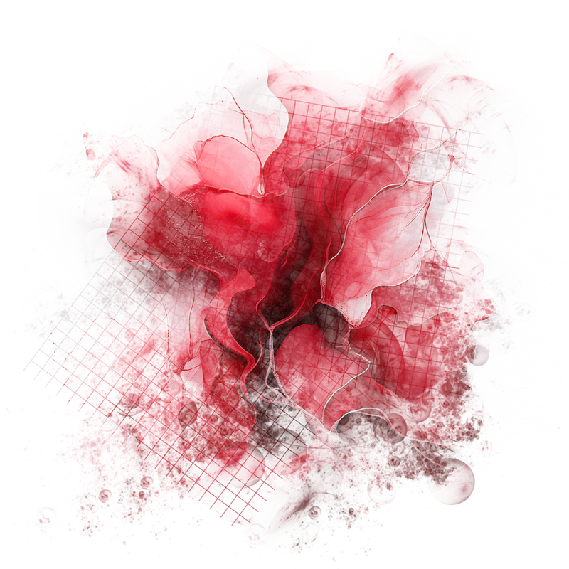 2025-DesignsbyForteMasked800x800-547