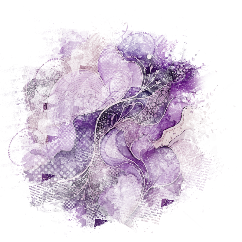 2025-DesignsbyForteMasked800x800-571