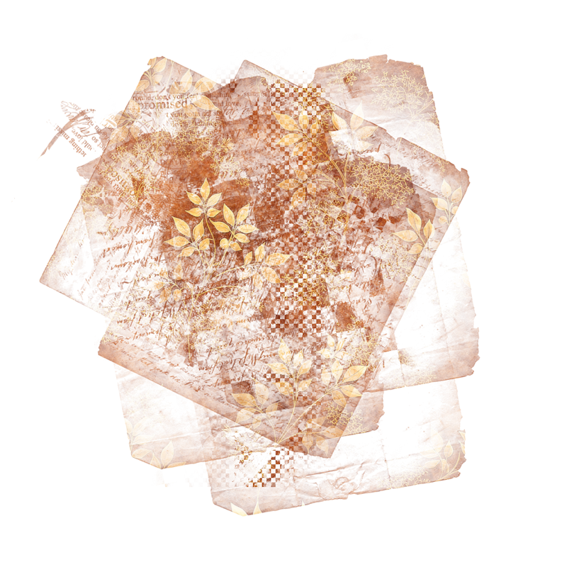 2025-DesignsbyForteMasked800x800-651