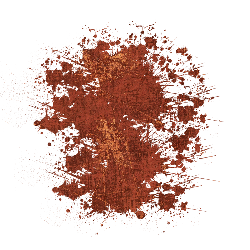 2025-DesignsbyForteMasked800x800-658