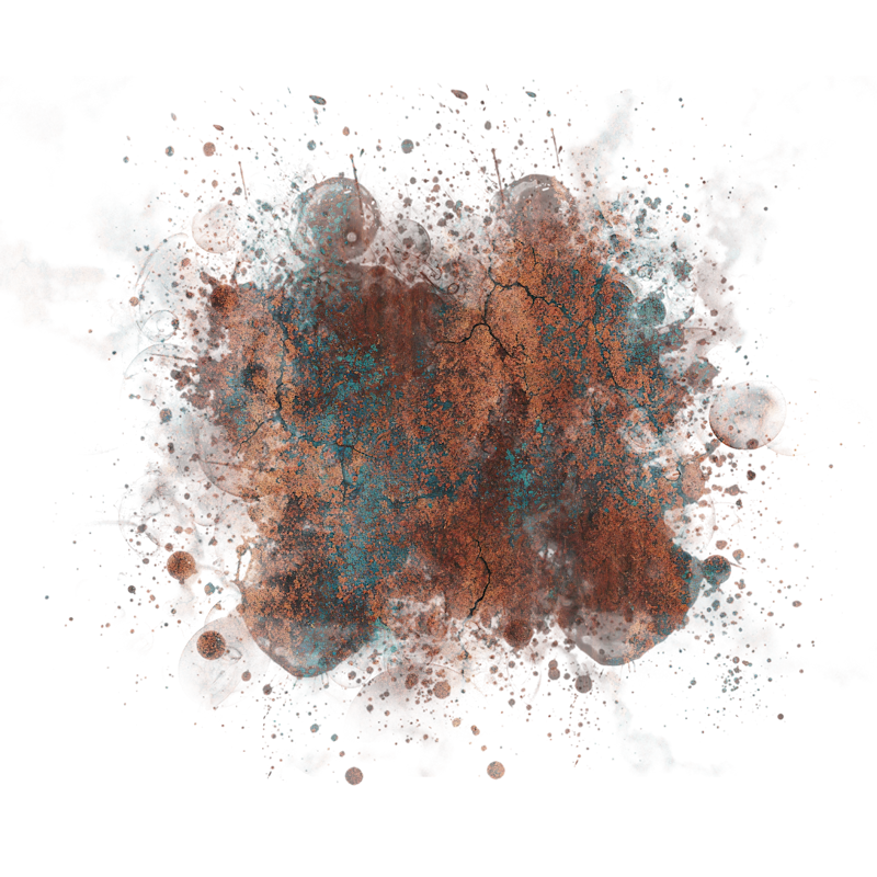 2025-DesignsbyForteMasked800x800-666