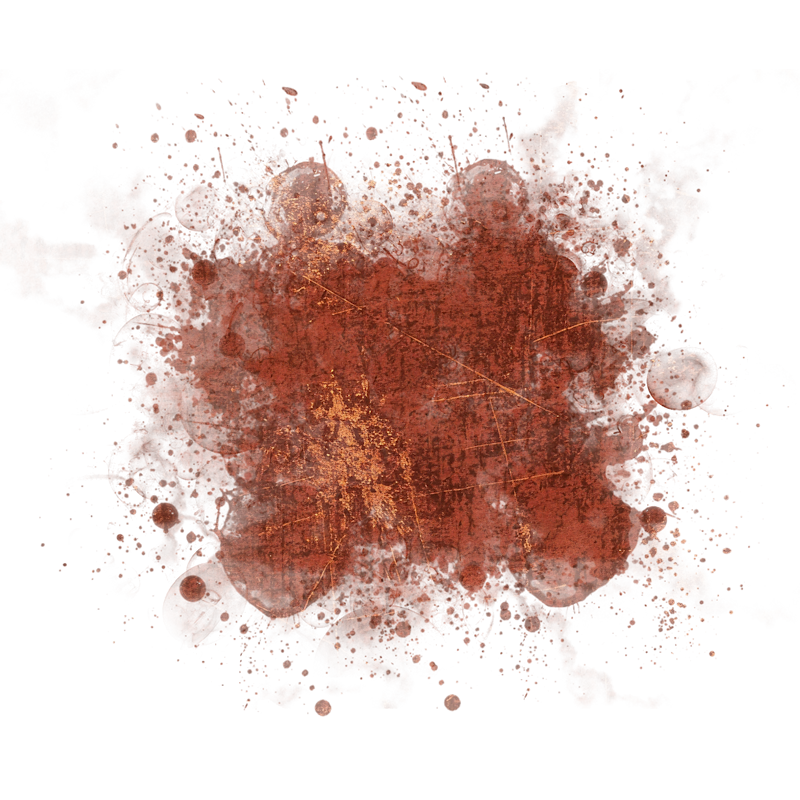 2025-DesignsbyForteMasked800x800-668