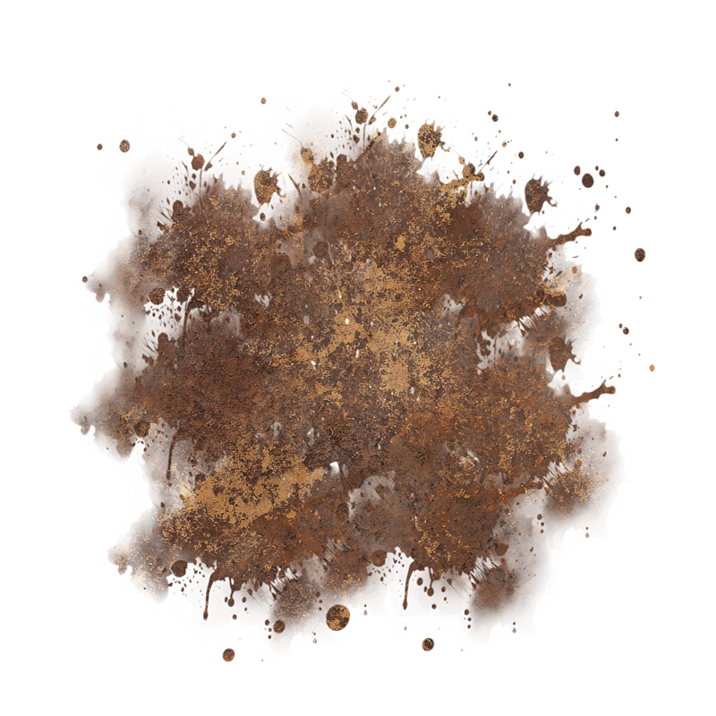 2025-DesignsbyForteMasked800x800-650