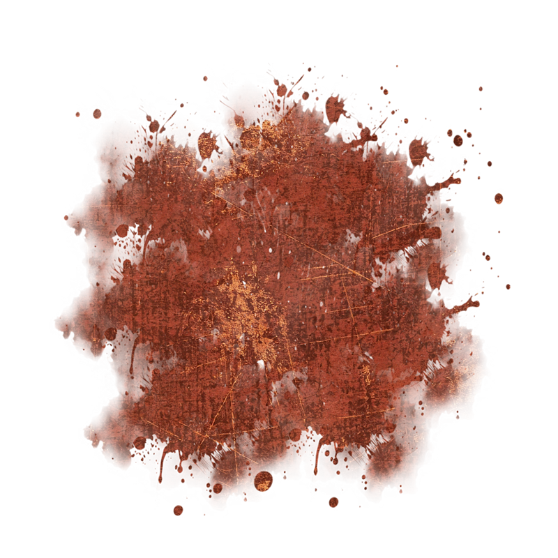 2025-DesignsbyForteMasked800x800-673