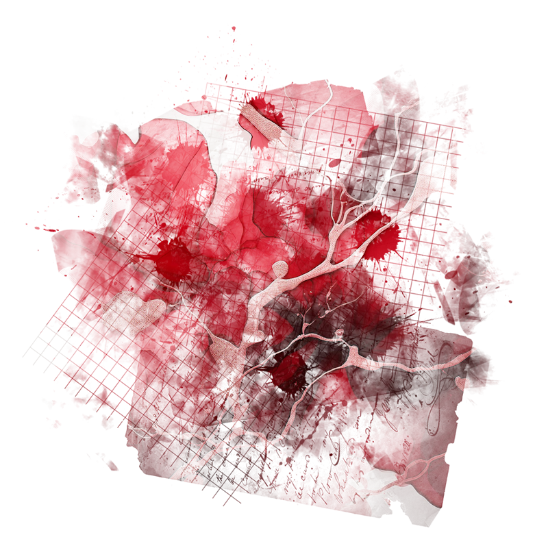2025-DesignsbyForteMasked800x800-697