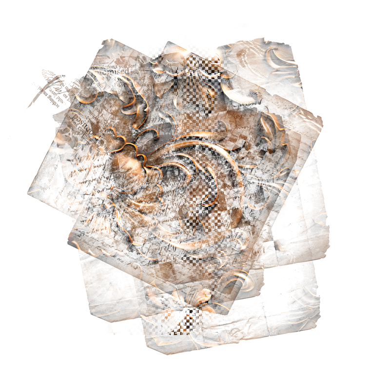 2025-DesignsbyForteMasked800x800-716