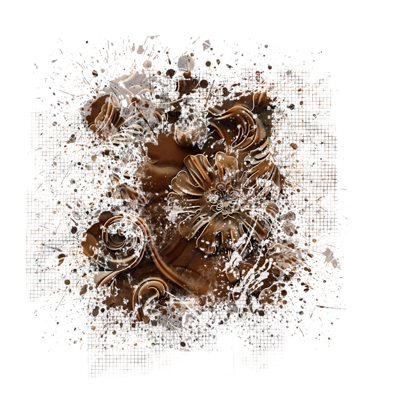 2025-DesignsbyForteMasked800x800-734