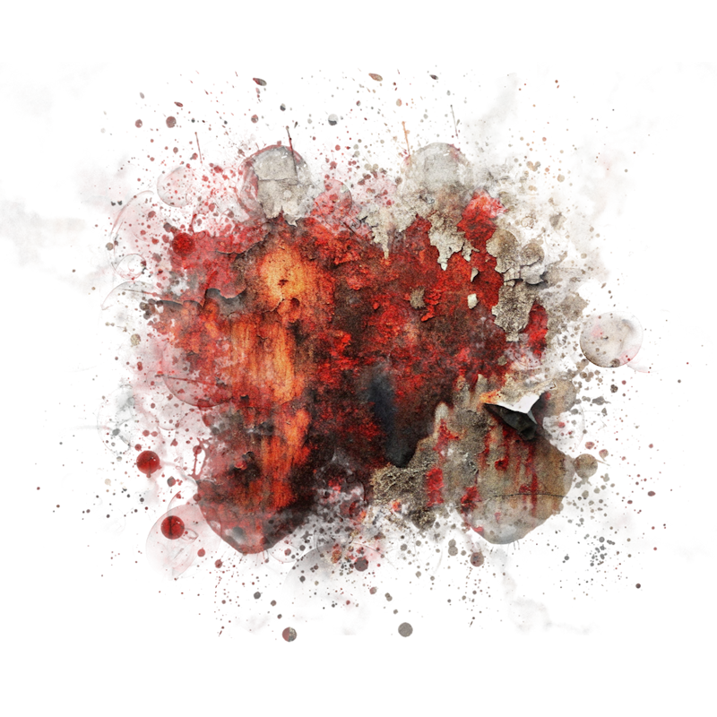 2025-DesignsbyForteMasked800x800-802