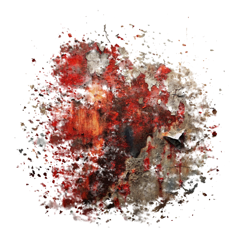 2025-DesignsbyForteMasked800x800-809