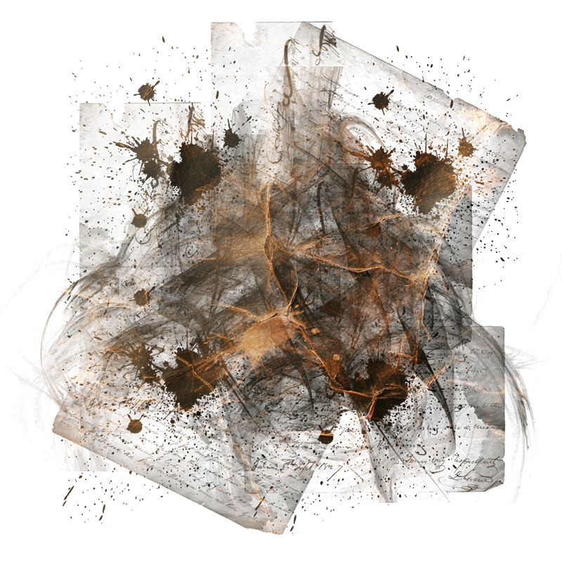 2025-DesignsbyForteMasked800x800-851