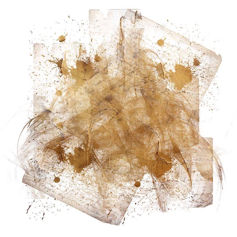 2025-DesignsbyForteMasked800x800-852