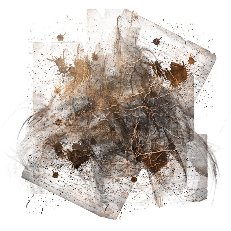 2025-DesignsbyForteMasked800x800-853
