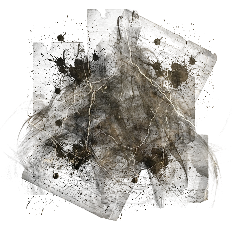 2025-DesignsbyForteMasked800x800-854