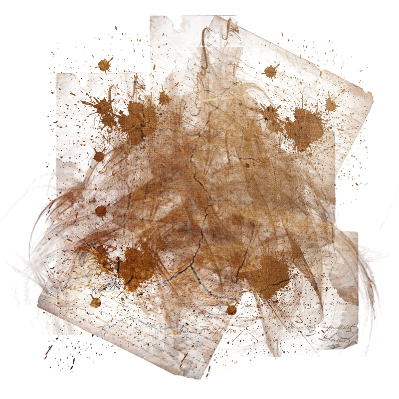 2025-DesignsbyForteMasked800x800-855