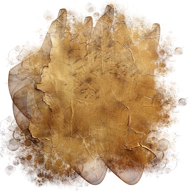 2025-DesignsbyForteMasked800x800-862