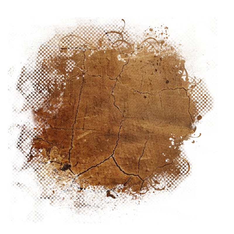 2025-DesignsbyForteMasked800x800-866